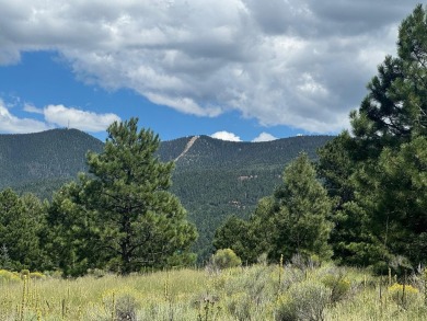 VIEWS!!! This easy-to-build-on lot has everything, because few on Angel Fire Resort Country Club in New Mexico - for sale on GolfHomes.com, golf home, golf lot