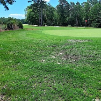 Everything's Included in your new dream home. DRAMATIC INTERIOR on Legends Golf Club in South Carolina - for sale on GolfHomes.com, golf home, golf lot