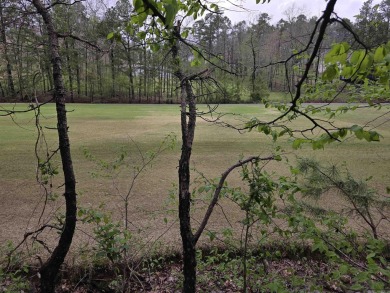 overlooking 6th fairway with beautiful views! Come join the fun on Diamondhead Golf and Country Club in Arkansas - for sale on GolfHomes.com, golf home, golf lot