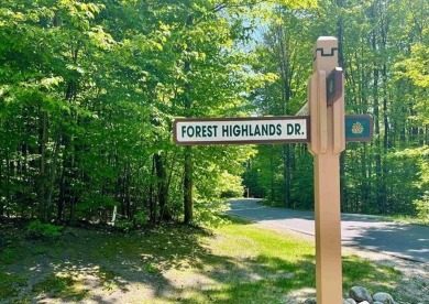 Beautiful spacious lot, on Forest Highlands, nestled in the on Cedar River Golf Course in Michigan - for sale on GolfHomes.com, golf home, golf lot