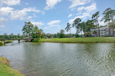 Experience an extraordinary opportunity within the prestigious on Arrowhead Country Club in South Carolina - for sale on GolfHomes.com, golf home, golf lot