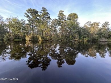 Welcome to 104 Lantern Lane: Discover this stunning home nestled on River Bend Golf and Country Club in North Carolina - for sale on GolfHomes.com, golf home, golf lot