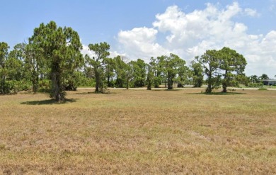 Build your dream home in the serene community of Rotonda Sands on Rotonda Golf and Country Club The Links Course in Florida - for sale on GolfHomes.com, golf home, golf lot