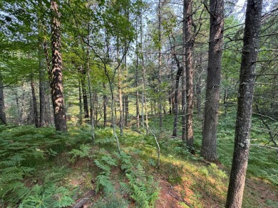 Golf course location & privacy-with this vacant lot you get on Timber Ridge Golf Club in Wisconsin - for sale on GolfHomes.com, golf home, golf lot