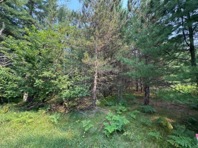 Golf course location & privacy-with this vacant lot you get on Timber Ridge Golf Club in Wisconsin - for sale on GolfHomes.com, golf home, golf lot