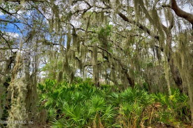 RARE Opportunity to Build Your DREAM HOME in Highly Sought-After on The Palencia Club in Florida - for sale on GolfHomes.com, golf home, golf lot