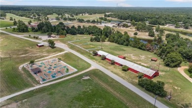 Discover your dream home on the #6 green in Hilltop Lakes! This on Hilltop Lakes Resort Golf Club in Texas - for sale on GolfHomes.com, golf home, golf lot