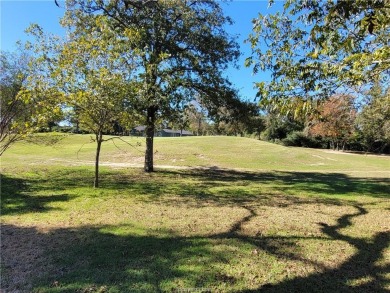 Discover your dream home on the #6 green in Hilltop Lakes! This on Hilltop Lakes Resort Golf Club in Texas - for sale on GolfHomes.com, golf home, golf lot