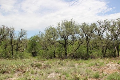 REDUCED! PRIVATE LAKE WATERFRONT LOT! THIS IS LOT 2e enjoy some on Brownwood Country Club in Texas - for sale on GolfHomes.com, golf home, golf lot