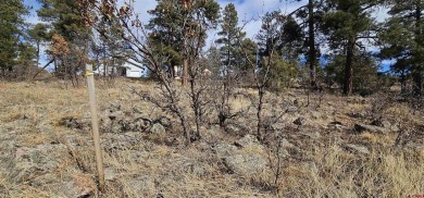 Kevin Blue, Best of Pagosa Springs, C: , kevin,  : This lot is on Pagosa Springs Golf Club in Colorado - for sale on GolfHomes.com, golf home, golf lot