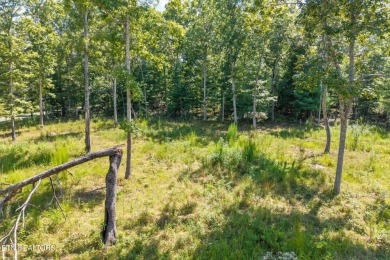 Three lots for sale in Tansi for a total of 0.87 acres in the on Lake Tansi Village Country Club in Tennessee - for sale on GolfHomes.com, golf home, golf lot
