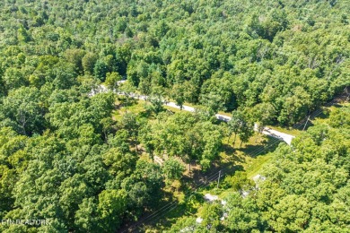 Three lots for sale in Tansi for a total of 0.87 acres in the on Lake Tansi Village Country Club in Tennessee - for sale on GolfHomes.com, golf home, golf lot