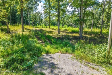 Three lots for sale in Tansi for a total of 0.87 acres in the on Lake Tansi Village Country Club in Tennessee - for sale on GolfHomes.com, golf home, golf lot