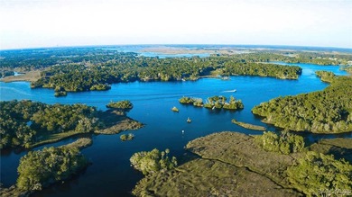 Nice .39-acre building lot suitable for a single-family home in on Citrus Springs Country Club in Florida - for sale on GolfHomes.com, golf home, golf lot