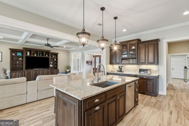 Looking for a stunning home, incredible view, and convenient on Laurel Island Links in Georgia - for sale on GolfHomes.com, golf home, golf lot