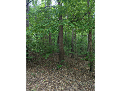 If you're looking for a homesite in a Golf/Equestrian community on Mount Vintage Plantation and Golf Club  in South Carolina - for sale on GolfHomes.com, golf home, golf lot