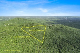 Enjoy Long Range Mountain Views from this 5.19 Acre Mountainside on The Orchard Golf & Country Club in Georgia - for sale on GolfHomes.com, golf home, golf lot