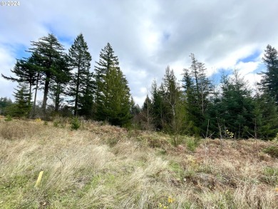 A pristine secluded canvas for your dream estate. This on Skamania Lodge Golf Course in Washington - for sale on GolfHomes.com, golf home, golf lot