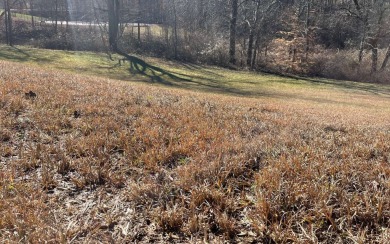 Spectacular Panoramic Mountain Views!!! Clear and buildable 1.69 on Old Union Golf Course in Georgia - for sale on GolfHomes.com, golf home, golf lot