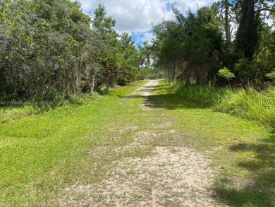 Seller financing available. This double lot (20,908 sq.ft / 0.48 on Lake June West Golf and Athletic Club in Florida - for sale on GolfHomes.com, golf home, golf lot