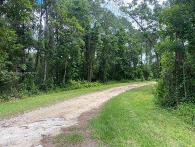 Seller financing available. This double lot (20,908 sq.ft / 0.48 on Lake June West Golf and Athletic Club in Florida - for sale on GolfHomes.com, golf home, golf lot