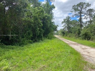 Seller financing available. This double lot (20,908 sq.ft / 0.48 on Lake June West Golf and Athletic Club in Florida - for sale on GolfHomes.com, golf home, golf lot