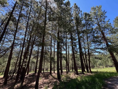 Conveniently located 3 bedrooms, 2 1/2-bathroom cabin in Angel on Angel Fire Resort Country Club in New Mexico - for sale on GolfHomes.com, golf home, golf lot