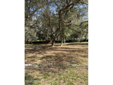 Just a hop, skip and jump to Palatka Golf Course. High and dry on Palatka Golf Club in Florida - for sale on GolfHomes.com, golf home, golf lot