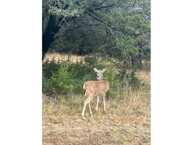 Golf course lot available on the 14th hole of White Bluff on White Bluff Resort - New Course in Texas - for sale on GolfHomes.com, golf home, golf lot