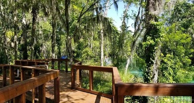 BRAND NEW POOL HOME - READY NOW! Welcome to this Brand New on Citrus Springs Country Club in Florida - for sale on GolfHomes.com, golf home, golf lot