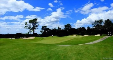 BRAND NEW POOL HOME - READY NOW! Welcome to this Brand New on Citrus Springs Country Club in Florida - for sale on GolfHomes.com, golf home, golf lot