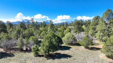 Chase K Girard, Ponderosa Real Estate The Source For Real Estate on The Divide Ranch and Club in Colorado - for sale on GolfHomes.com, golf home, golf lot