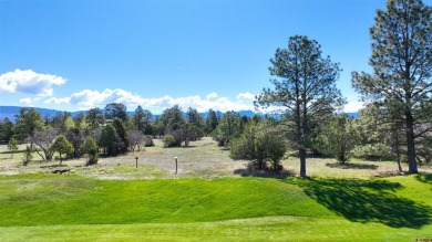 Chase K Girard, Ponderosa Real Estate The Source For Real Estate on The Divide Ranch and Club in Colorado - for sale on GolfHomes.com, golf home, golf lot