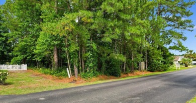 Discover the perfect opportunity to build your dream home on the on Palmetto Greens Golf and Country Club in South Carolina - for sale on GolfHomes.com, golf home, golf lot