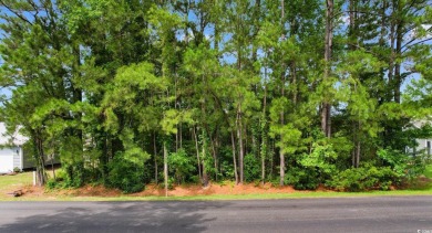 Discover the perfect opportunity to build your dream home on the on Palmetto Greens Golf and Country Club in South Carolina - for sale on GolfHomes.com, golf home, golf lot