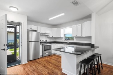 Beautiful completely remodeled villa. Gorgeous New kitchen on Spring Lake Golf Resort in Florida - for sale on GolfHomes.com, golf home, golf lot