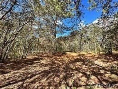Check out these two lots (side by side) in Sugarmill Woods - in on Sugarmill Woods Golf and Country Club in Florida - for sale on GolfHomes.com, golf home, golf lot