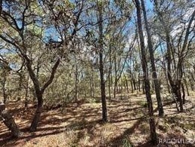 Check out these two lots (side by side) in Sugarmill Woods - in on Sugarmill Woods Golf and Country Club in Florida - for sale on GolfHomes.com, golf home, golf lot