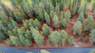 Golf enthusiasts, seize the opportunity! This building lot on Chewelah Golf and Country Club  in Washington - for sale on GolfHomes.com, golf home, golf lot