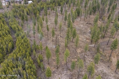 Welcome to Poirier Additions, tucked in the trees in the heart on Stoneridge Golf Club in Idaho - for sale on GolfHomes.com, golf home, golf lot