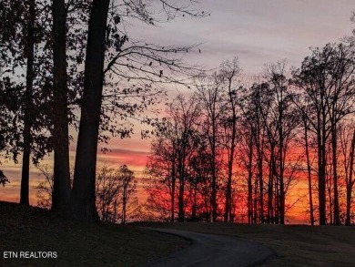 Stunning Golf Course Living In An Exclusive Community! 

Here on Landmark Golf Club At Avalon in Tennessee - for sale on GolfHomes.com, golf home, golf lot