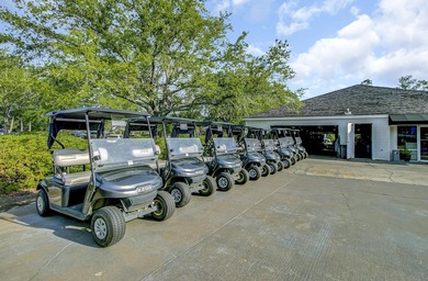 Pine Forest is a mature, established community known for its on The Club at Pine Forest  in South Carolina - for sale on GolfHomes.com, golf home, golf lot