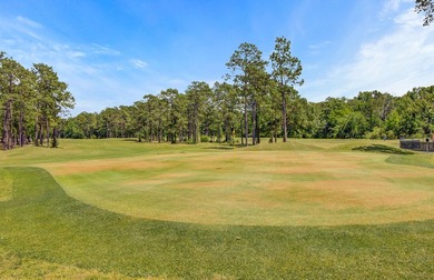 Pine Forest is a mature, established community known for its on The Club at Pine Forest  in South Carolina - for sale on GolfHomes.com, golf home, golf lot