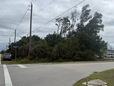 Prime Corner Lot in the desirable San Carlos Park neighborhood! on Estero Country Club in Florida - for sale on GolfHomes.com, golf home, golf lot