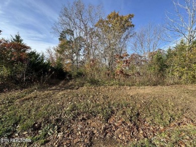 Rare opportunity to own a direct lakefront lot in Toqua Coves on Toqua Golf Course - Loudon County in Tennessee - for sale on GolfHomes.com, golf home, golf lot