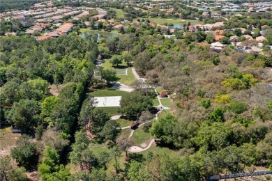 **Home for Sale in Terra Vista, Westford Villas Community** on Skyview At Terra Vista Golf and Country Club in Florida - for sale on GolfHomes.com, golf home, golf lot