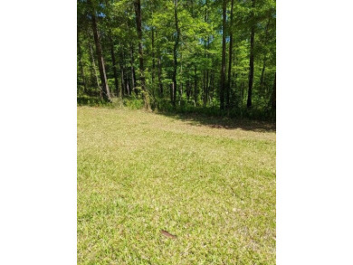 Are you looking for a homesite in a beautiful Golf/Equestrian on Mount Vintage Plantation and Golf Club  in South Carolina - for sale on GolfHomes.com, golf home, golf lot