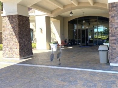 Exceptional Summerwood Model in Del Webb Orlando!  Meticulously on Ridgewood Lakes Golf and Country Club in Florida - for sale on GolfHomes.com, golf home, golf lot