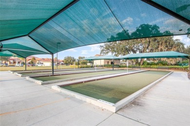 Exceptional Summerwood Model in Del Webb Orlando!  Meticulously on Ridgewood Lakes Golf and Country Club in Florida - for sale on GolfHomes.com, golf home, golf lot