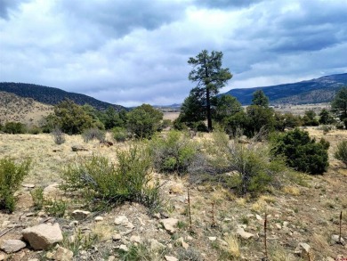 Connie Goodnight, Land Properties, LLC, C: , connie,  : The on Rio Grande Golf Club in Colorado - for sale on GolfHomes.com, golf home, golf lot
